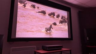 Hisense PX3-Pro ultra short throw projector with animals showing on screen