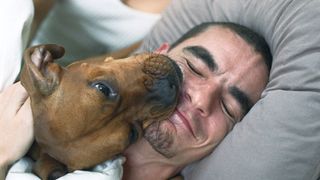 Dog licking man's face