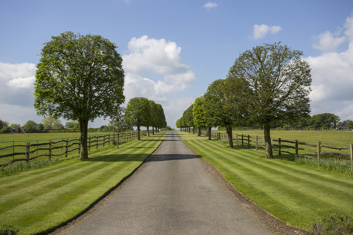 Chobham Park, Knight Frank (9)