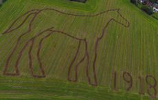 PloughedHorse.jpg