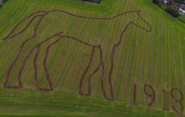 PloughedHorse.jpg