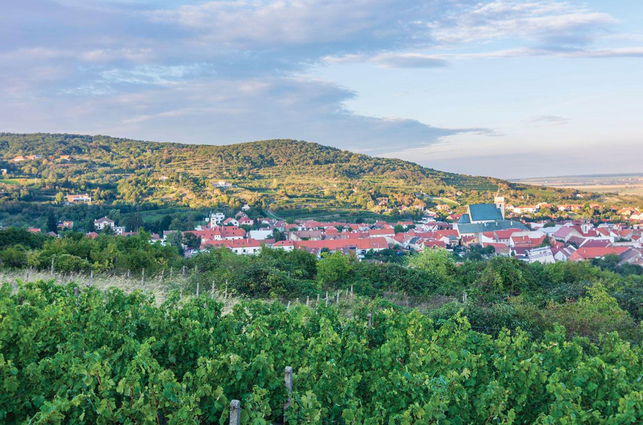 The historical wine town of Sv&amp;auml;t&amp;yacute; Jur, near Bratislava, seen from surrounding vineyards in the foothills of the Small Carpathians