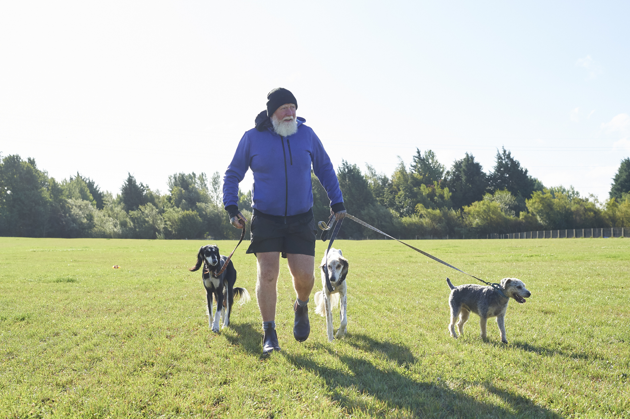 10. Walk or pet-sit dogs (and other animals)