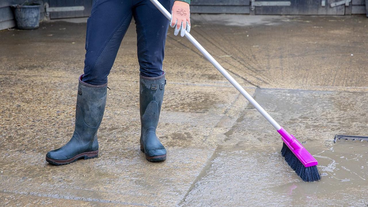 Harold Moore stable and yard broom&nbsp;review
