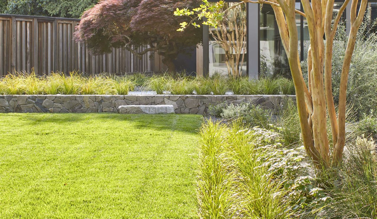 a lawn in a modern japanese garden