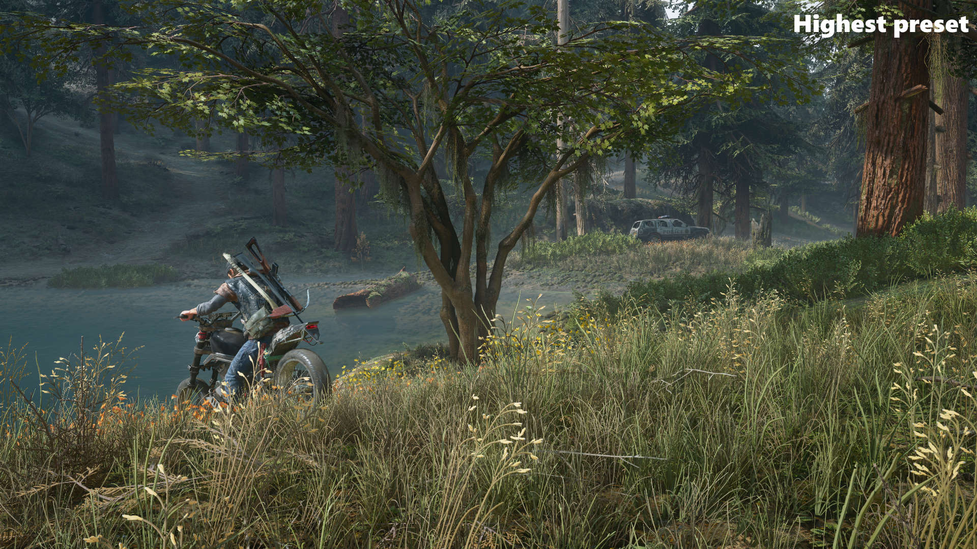 Days Gone graphics test screenshot