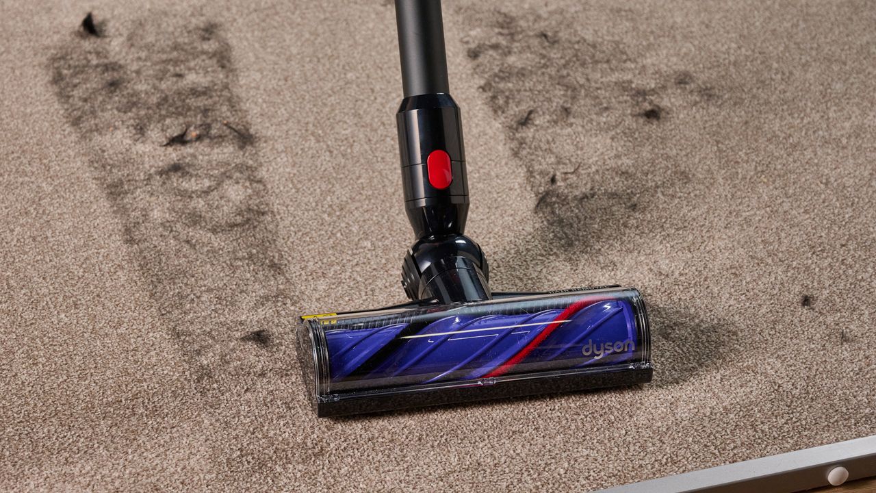 Dyson V8 Cyclone vacuum cleaning dog hair from carpet