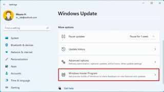 Open Windows Insider Program