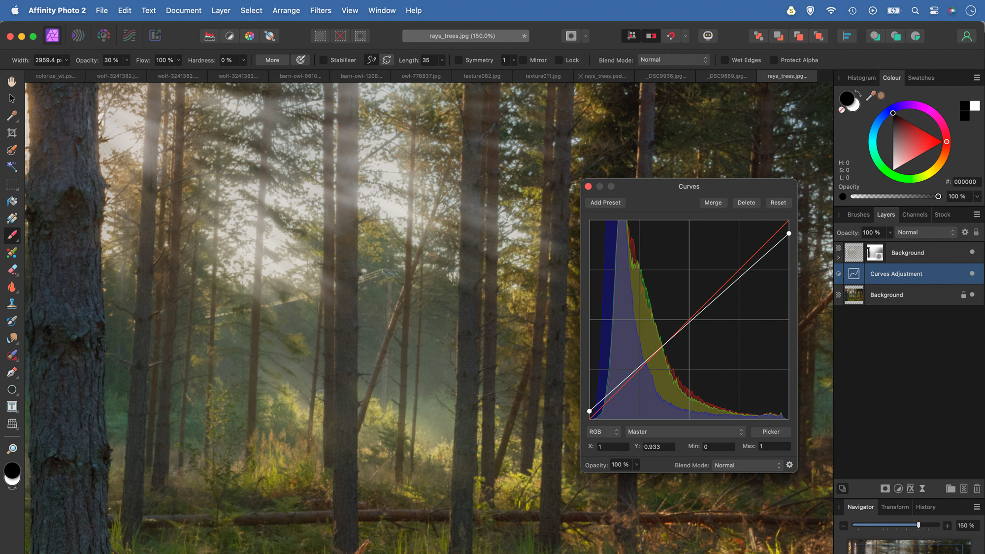 A person editing a forest scene in Affinity Photo adding light rays