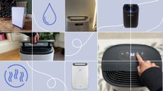 Images of our testers using the best dehumidifiers, including the Meaco Arete and De'Longhi Tasciguo in our homes on a white grid with a blue background and other animations