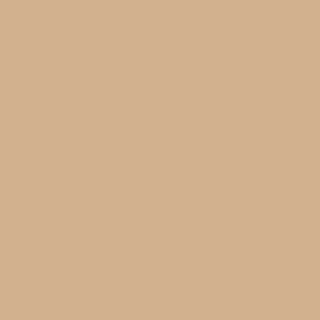light brown paint swatch
