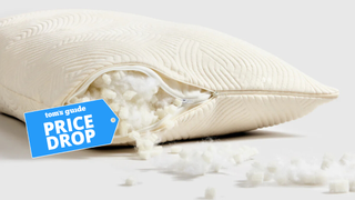 Coop Sleep Goods Adjustable Latex Pillow with the fill falling out with a Tom's Guide Price Drop tag