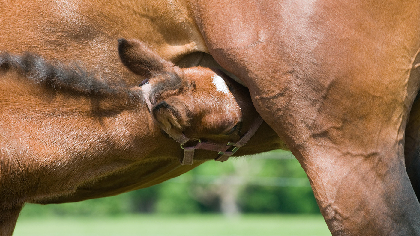 alamy-KPNEWG_330156272_577723372.jpg
