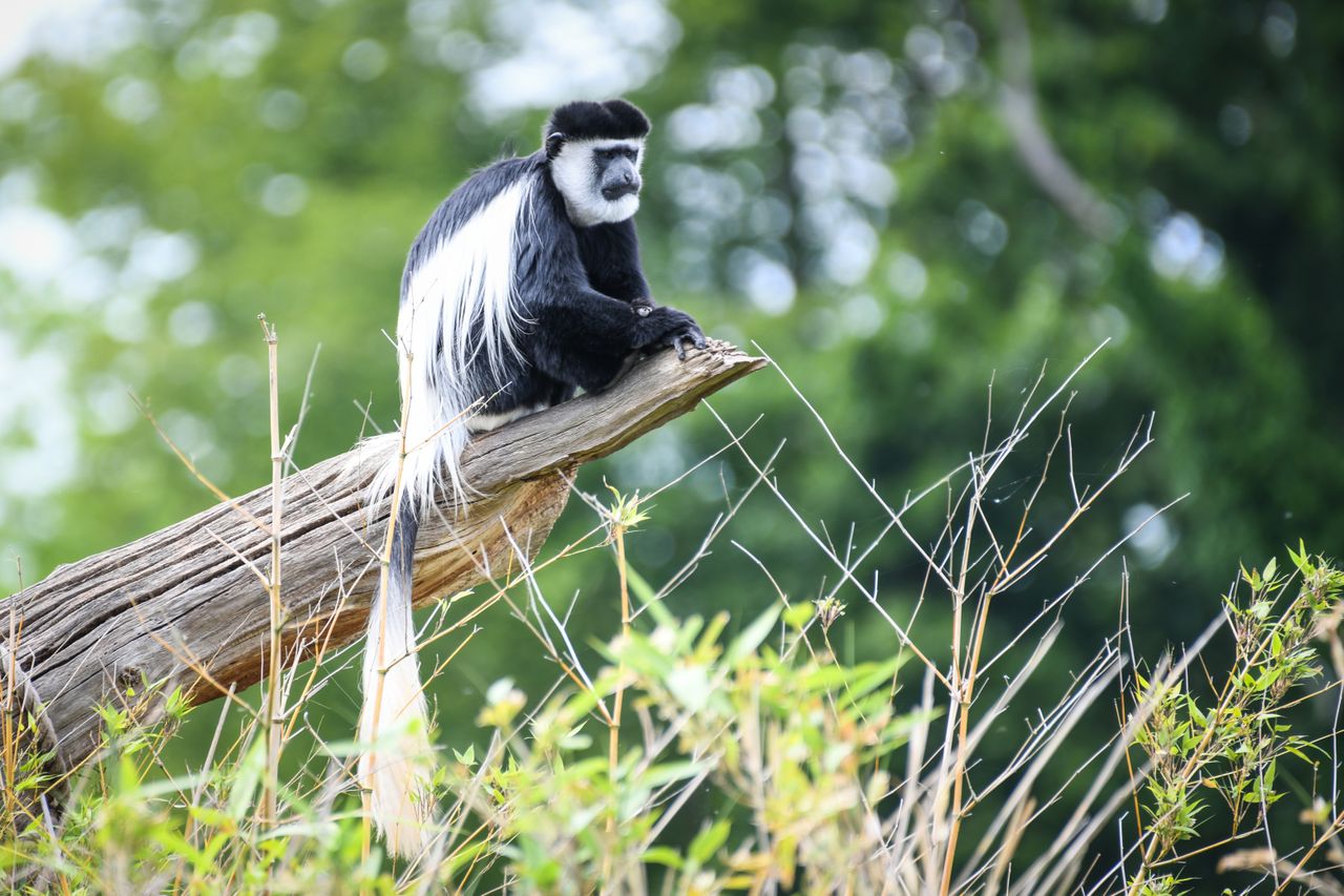 Nikon D850 sample image
