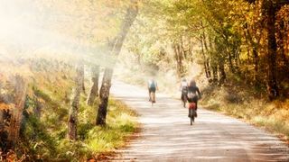 Cycling holidays