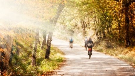 british cycling holidays