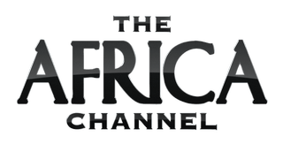 The Africa Channel Logo