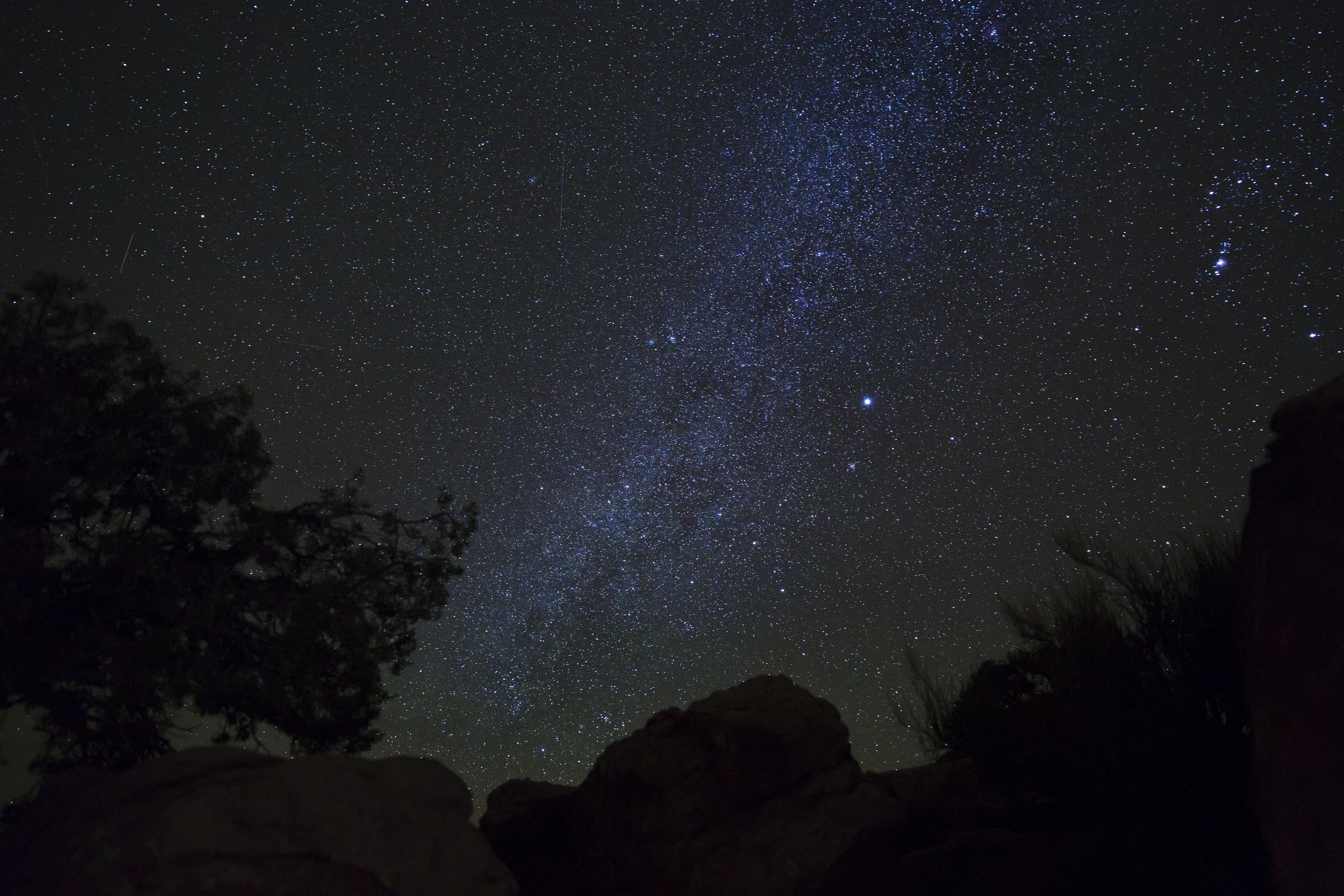 starry sky above silhouettes of trees and rocks.