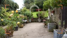 garden patio with potted plants to show the Tender plants to bring inside in autumn before the first frosts