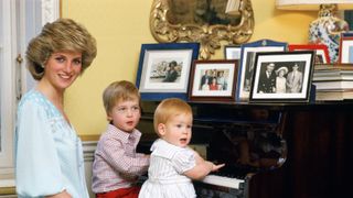Prince Harry, Princess Diana and Prince William