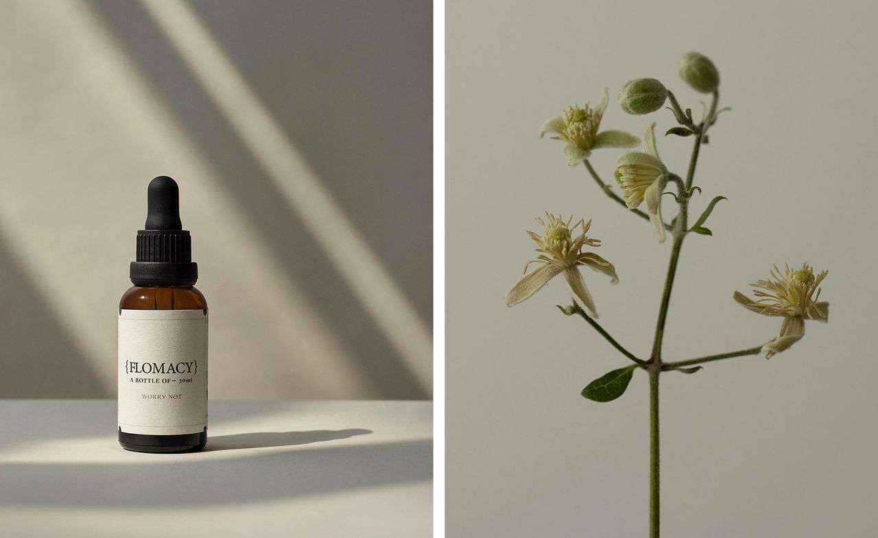 Flomacy floral remedy tincture in brown bottle, next to image of yellow flower with green steam against a grey background