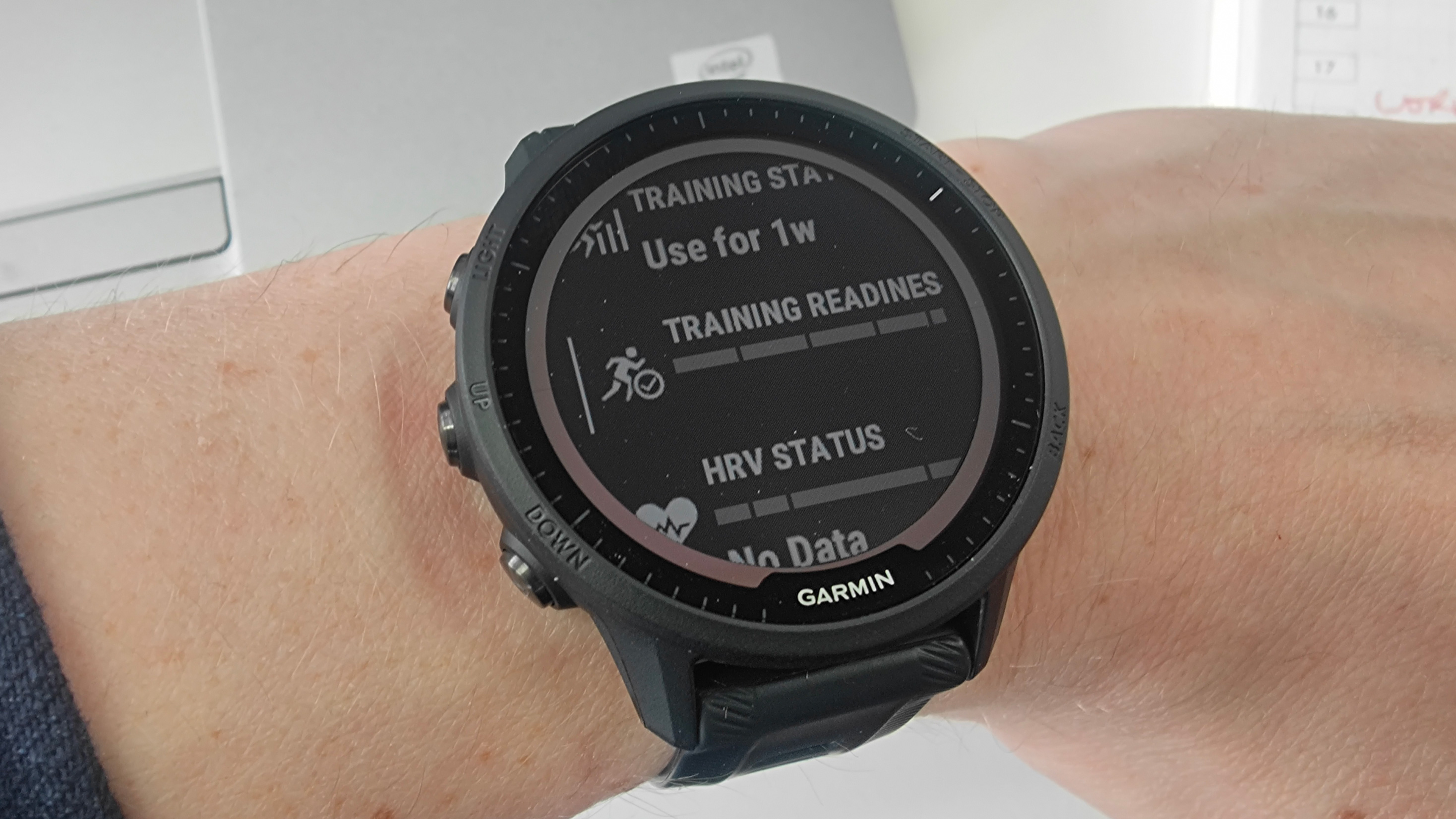 Garmin fenix 2025 ou forerunner