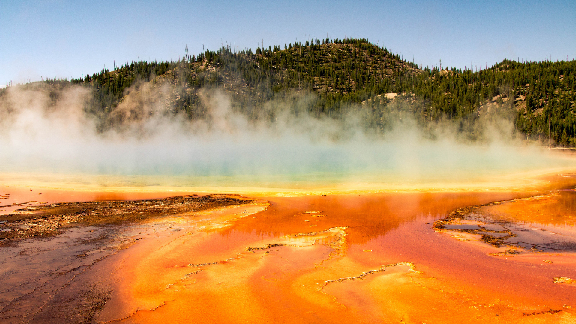 A glowing lake of lava emits steam which partially obscures a forest behind the steam.