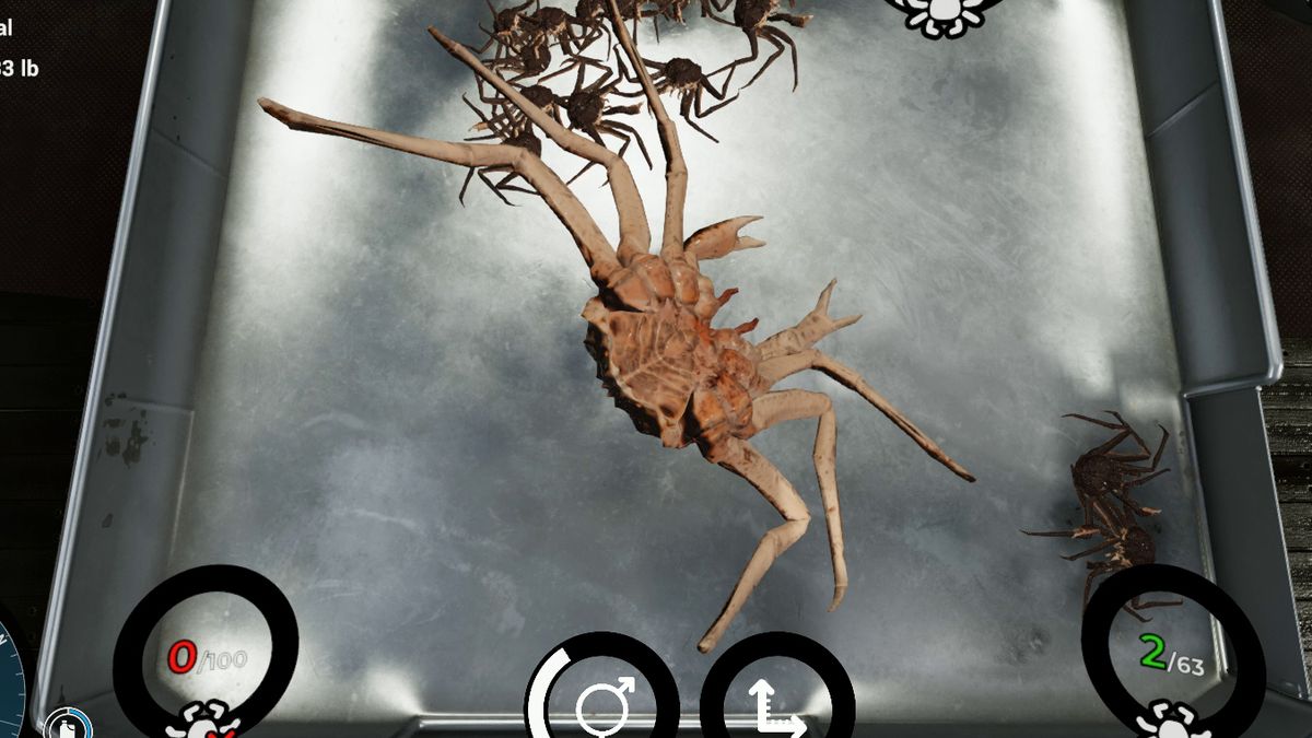 The Deadliest Catch game has way more staring at crab crotches than I expected