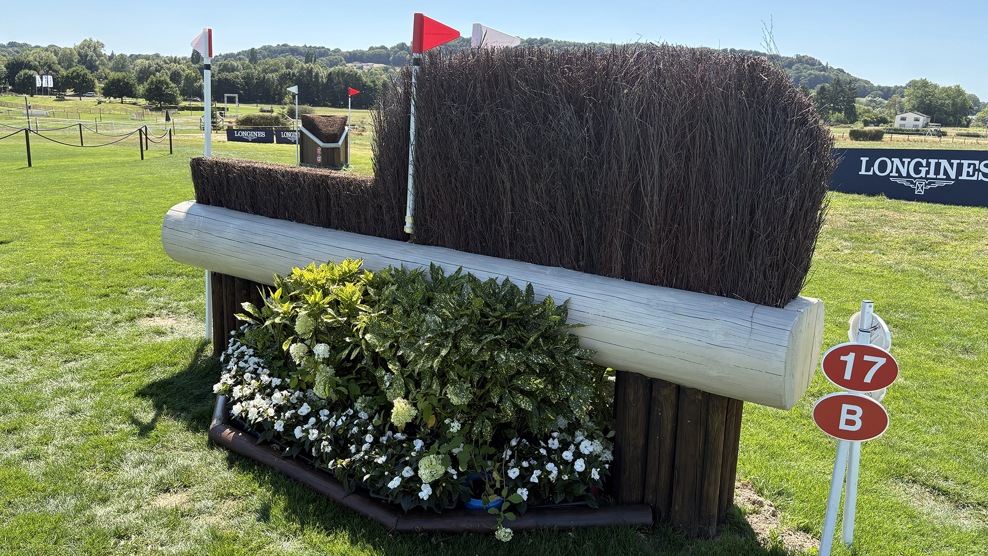 An angled brush fence on the Aachen eventing World Championships cross-country course