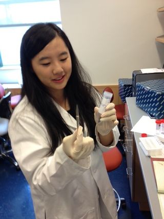 Joyce Xia prepares to extract DNA from one of the donated American cockroaches.