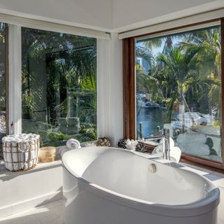 Bathroom with a tropical view