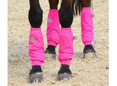 Pink-Golly-Galoshes-photo-Throughbred-Sports-Photography.jpg