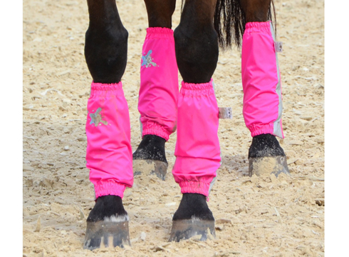 Pink-Golly-Galoshes-photo-Throughbred-Sports-Photography.jpg