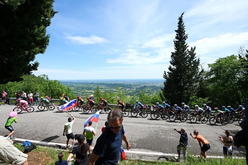 BASSANO DEL GRAPPA ITALY MAY 25 A general view of Tadej Pogacar of Slovenia and UAE Team Emirates Pink Leader Jersey and the peloton compete climbing to the Monte Grappa 1671m Fans during the 107th Giro dItalia 2024 Stage 20 a 184km stage from Alpago to Bassano del Grappa UCIWT on May 25 2024 in Bassano del Grappa Italy Photo by Tim de WaeleGetty Images