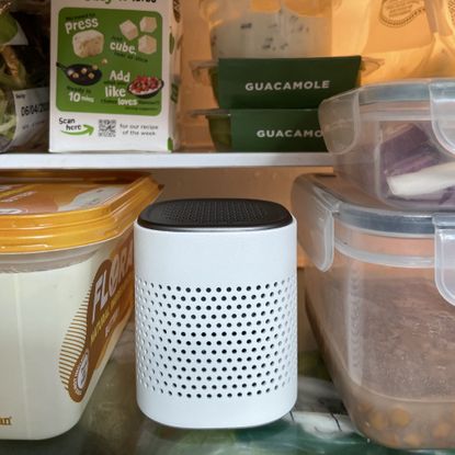 Vitesy deo odour eliminator sitting in a fridge amongst food items