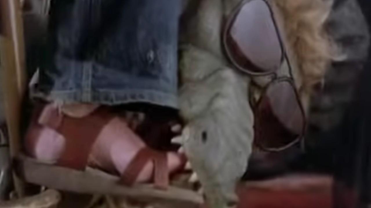 द गार्बेज पेल किड्स मूव्हीमध्ये अली गेटर पायातून चावा घेत आहे