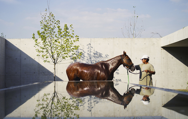 A work of art: it&rsquo;s hard to believe that this is real life&hellip;