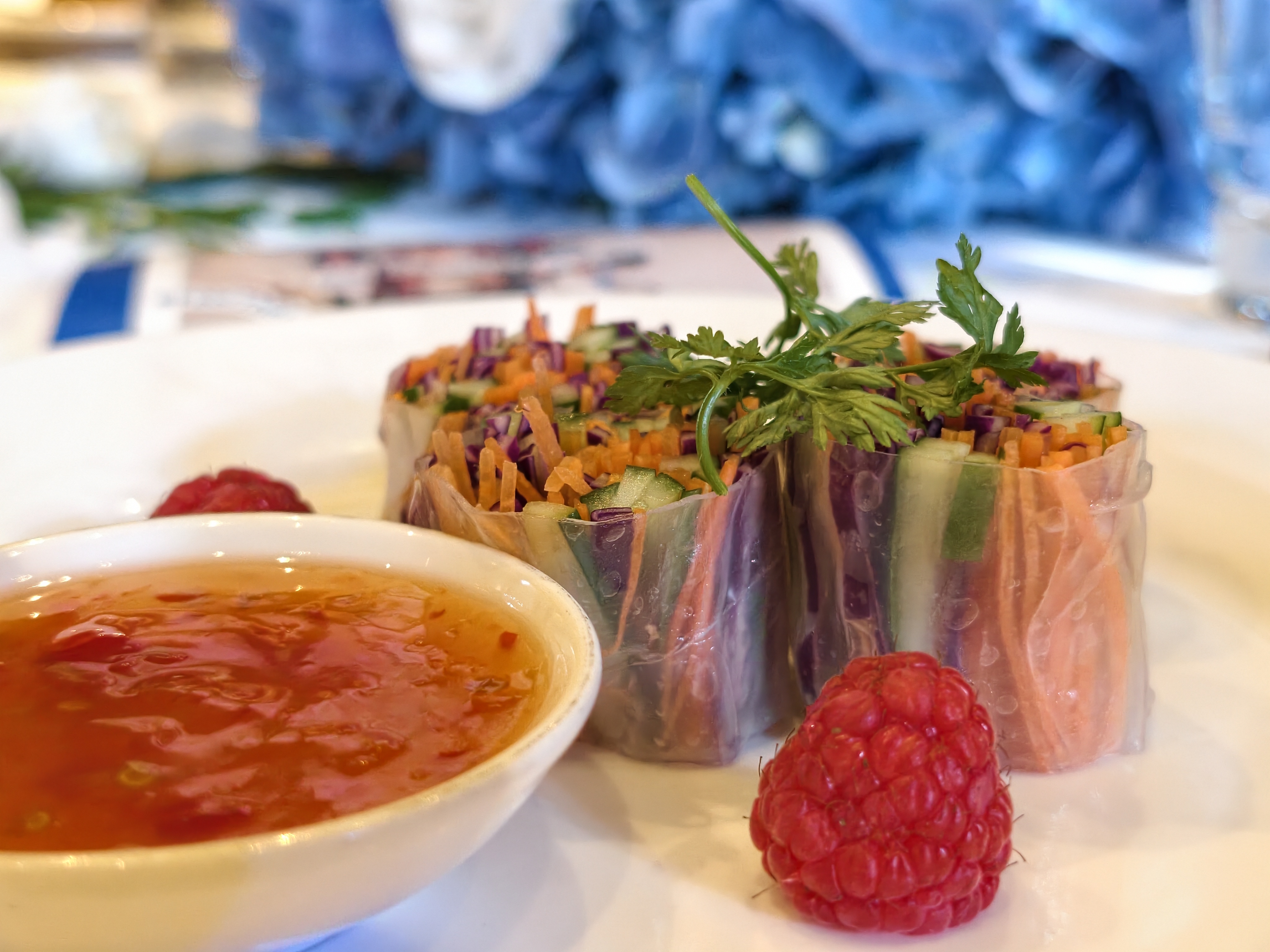 Vegetarian spring rolls taken on the vivo X300 pro