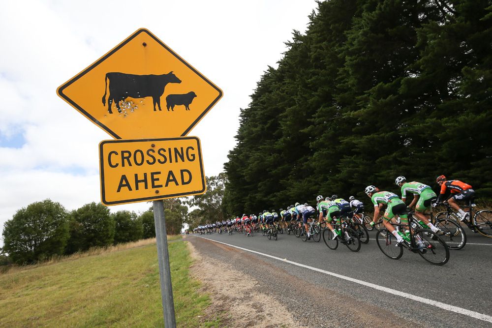 Watch out for road traffic