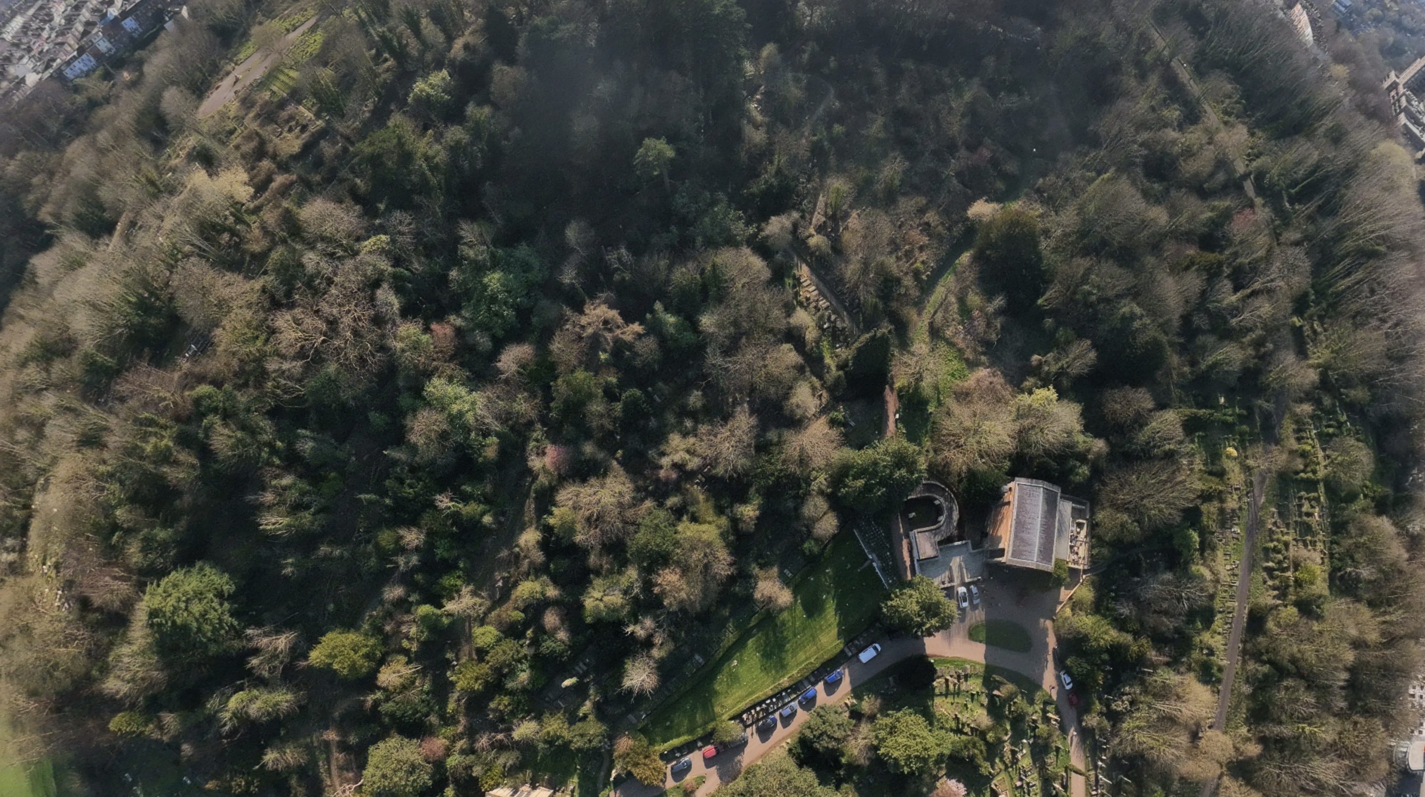 A photo taken on a DJI Avata 360 360-degree drone