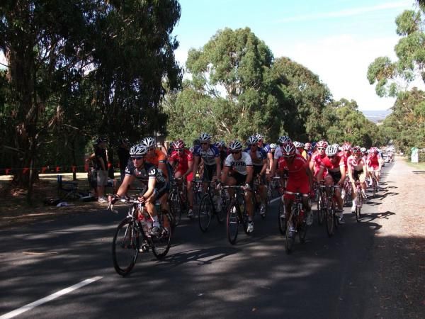 The peloton chasing Ben King (Trek-Livestrong) mid-race.