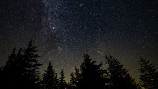 A streak of a shooting star can be seen in the night sky with silhouettes of pine trees in the foreground