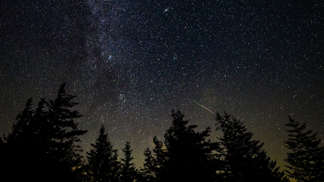 A streak of a shooting star can be seen in the night sky with silhouettes of pine trees in the foreground