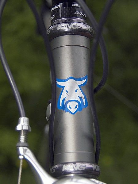 The wild boar, or cinghiale, is the mascot