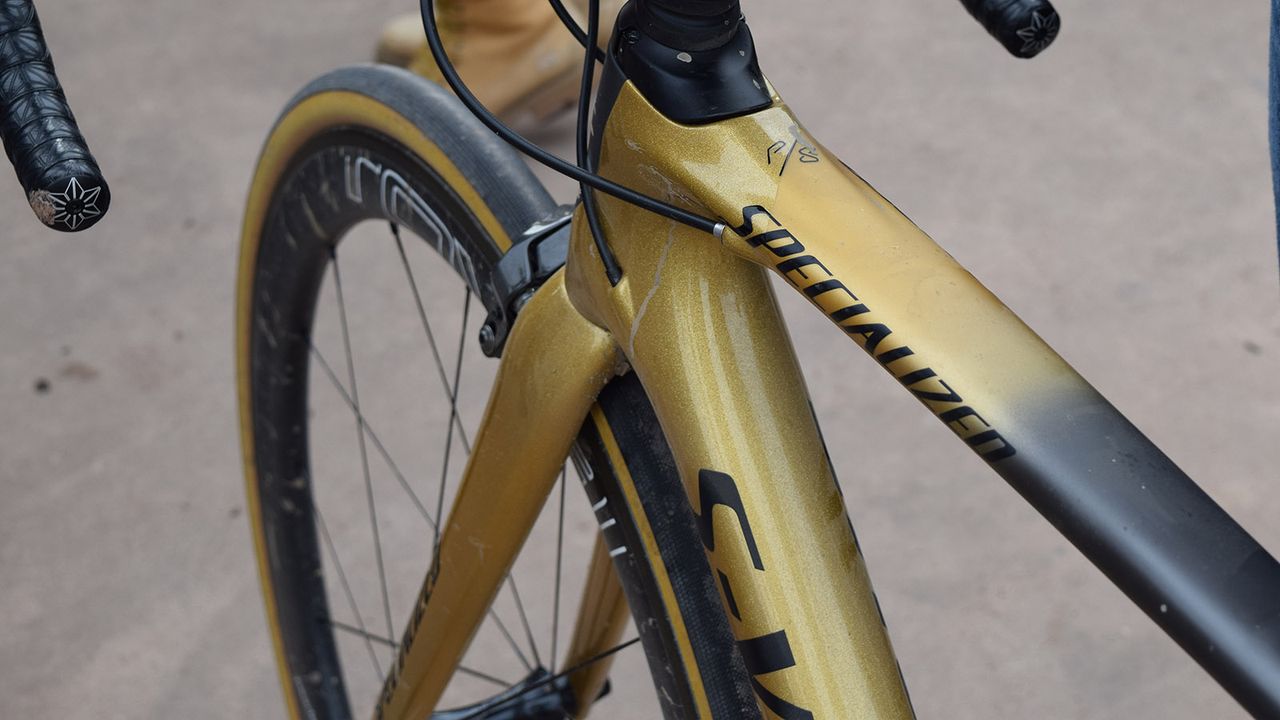 The 'Sagan Collection' paint design is a mix of glitter gold, matt gold and black