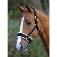 Shires Lungeing Cavesson