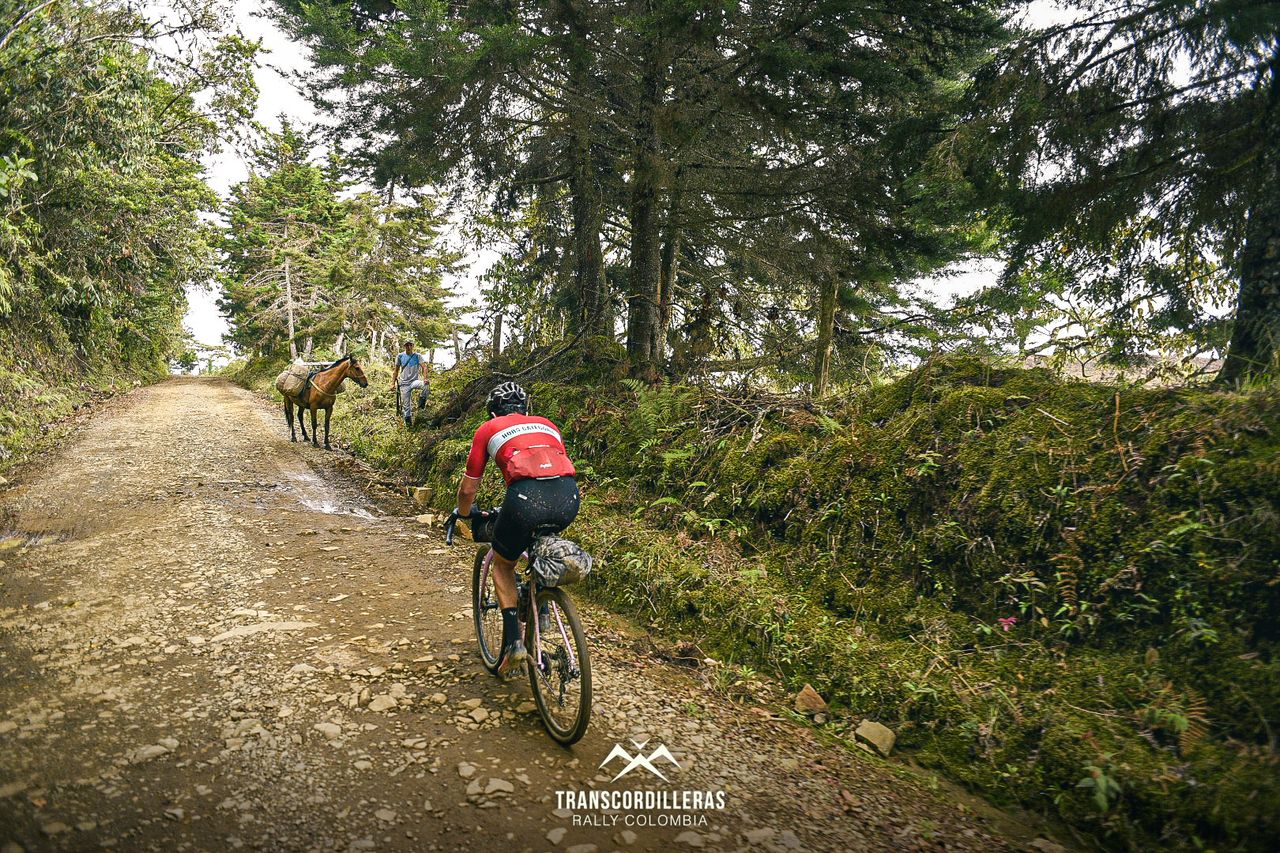 Images from the Transcordilleras Rally 2022