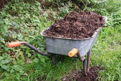 Want to start composting? These are the bins to buy
