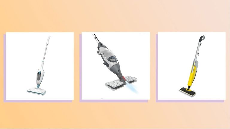 A collage image featuring pictures of some of the best steam cleaners in w&h's guide