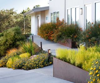 front yard with sloped path and Corten steel planters